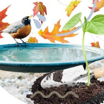 introduction to the environmental impacts of pollution and waste